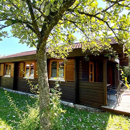 Ferienhaus Bruckner Hayingen Exterior foto